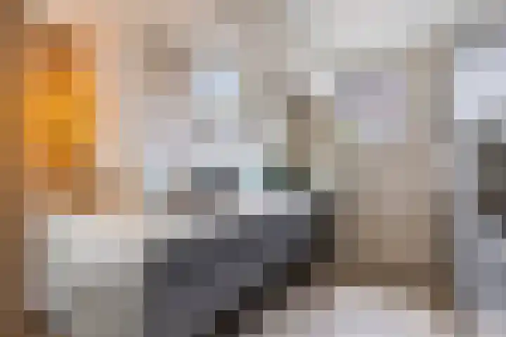 Frans Woltersstraat 31 Horst thumbnail 19