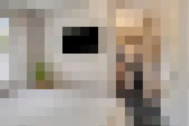 Frans Woltersstraat 31 Horst thumbnail 22