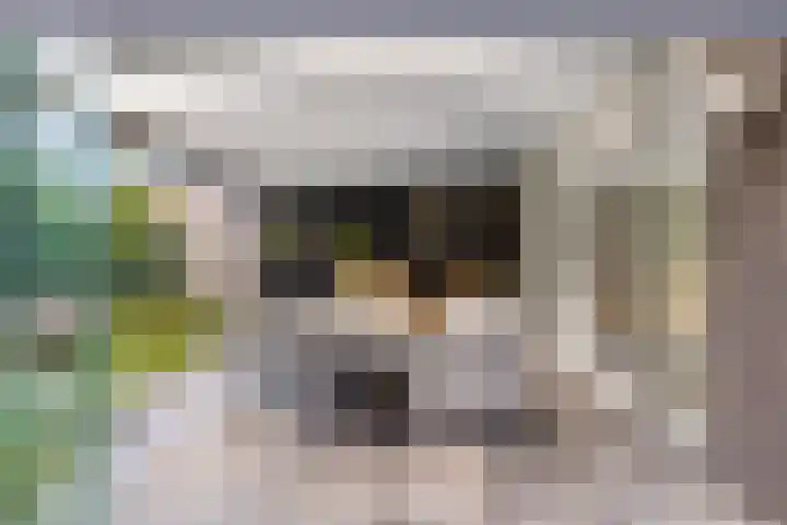 Frans Woltersstraat 31 Horst thumbnail 34