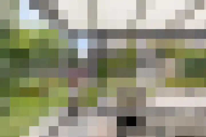 Frans Woltersstraat 31 Horst thumbnail 38