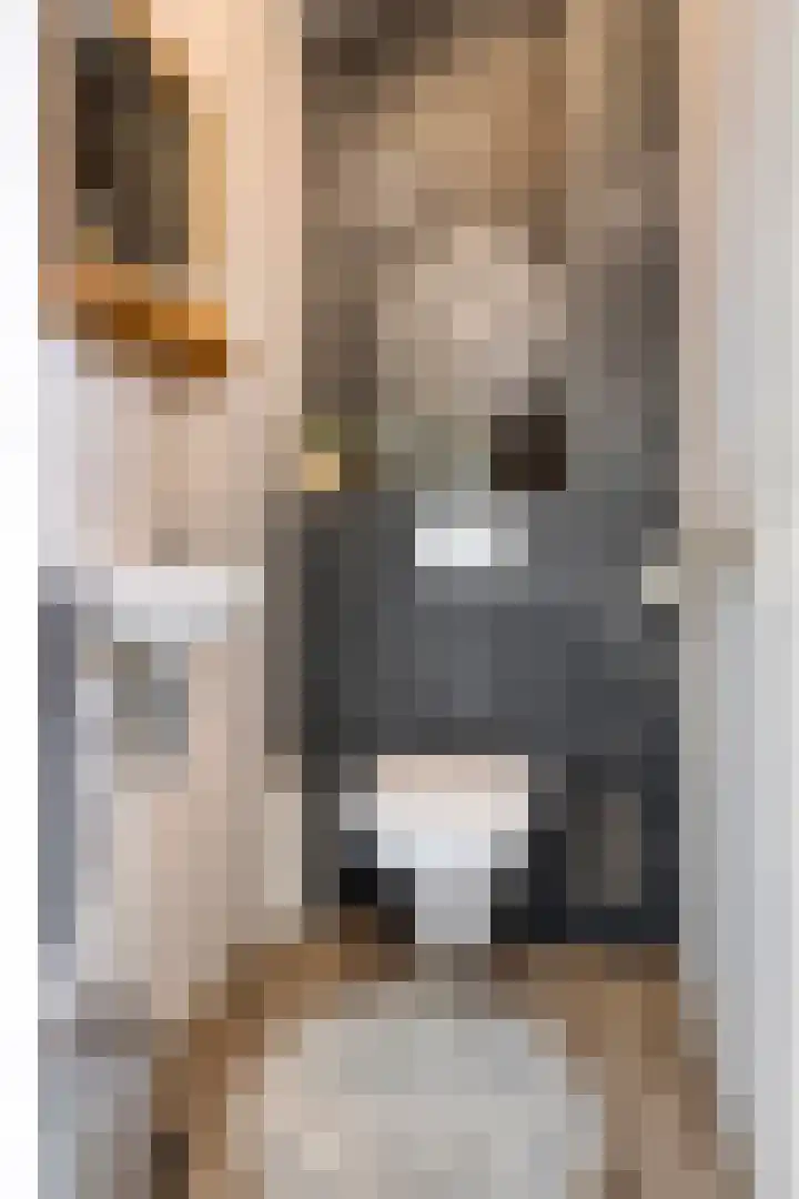 Frans Woltersstraat 31 Horst thumbnail 9
