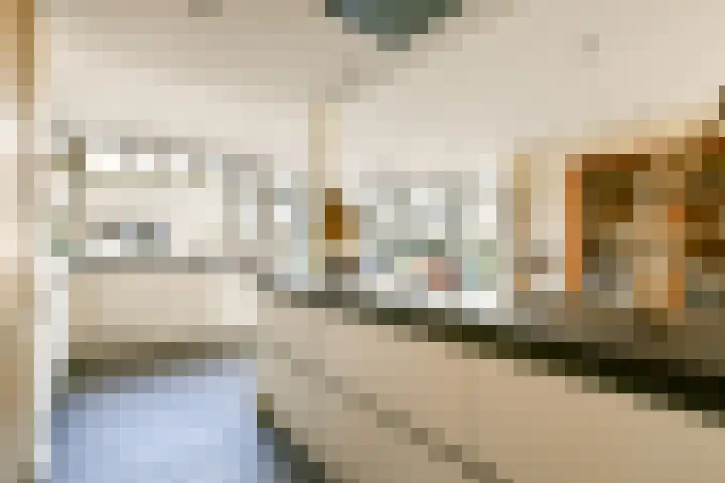 Frans Zwaanstraat 2 Zandvoort thumbnail 10