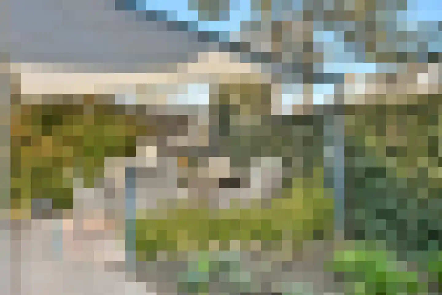Frans Zwaanstraat 2 Zandvoort thumbnail 13