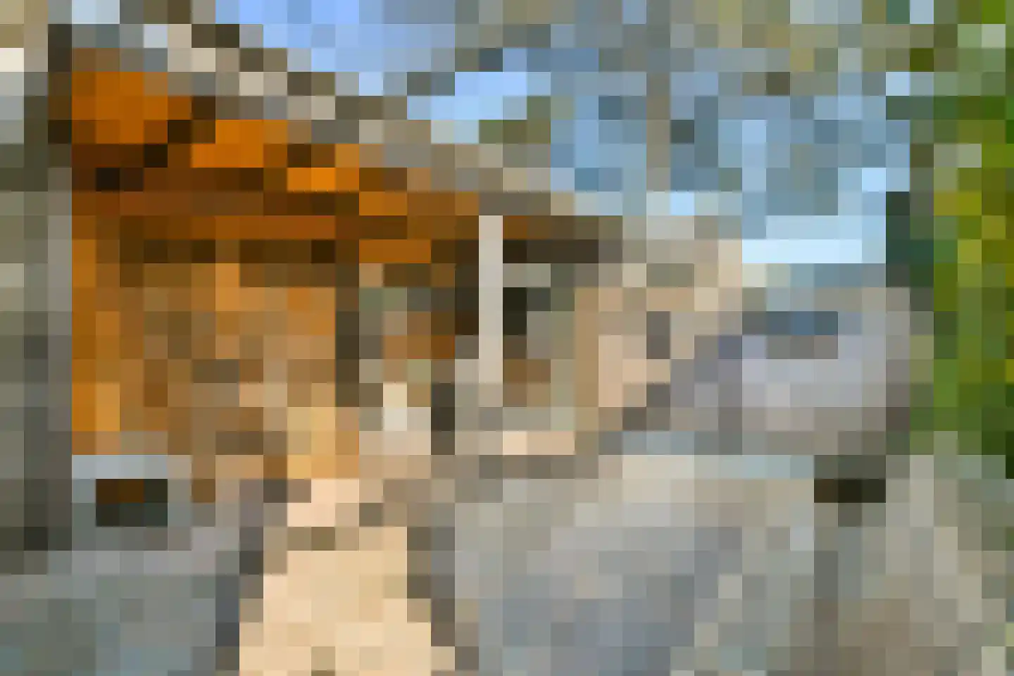 Frans Zwaanstraat 2 Zandvoort thumbnail 16