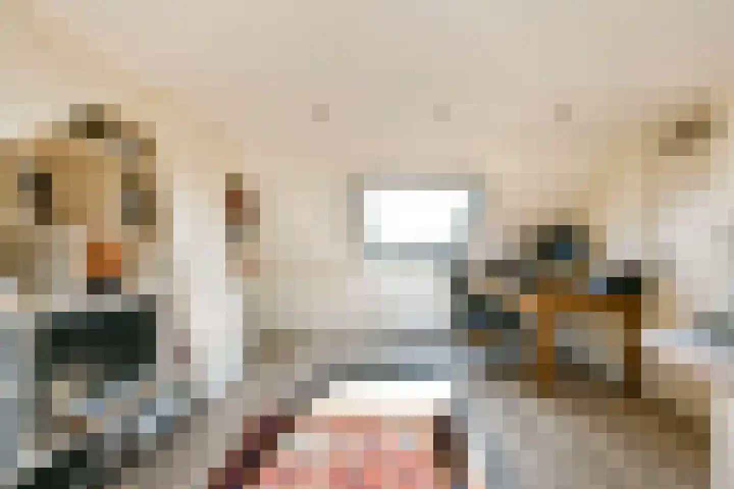Frans Zwaanstraat 2 Zandvoort thumbnail 32