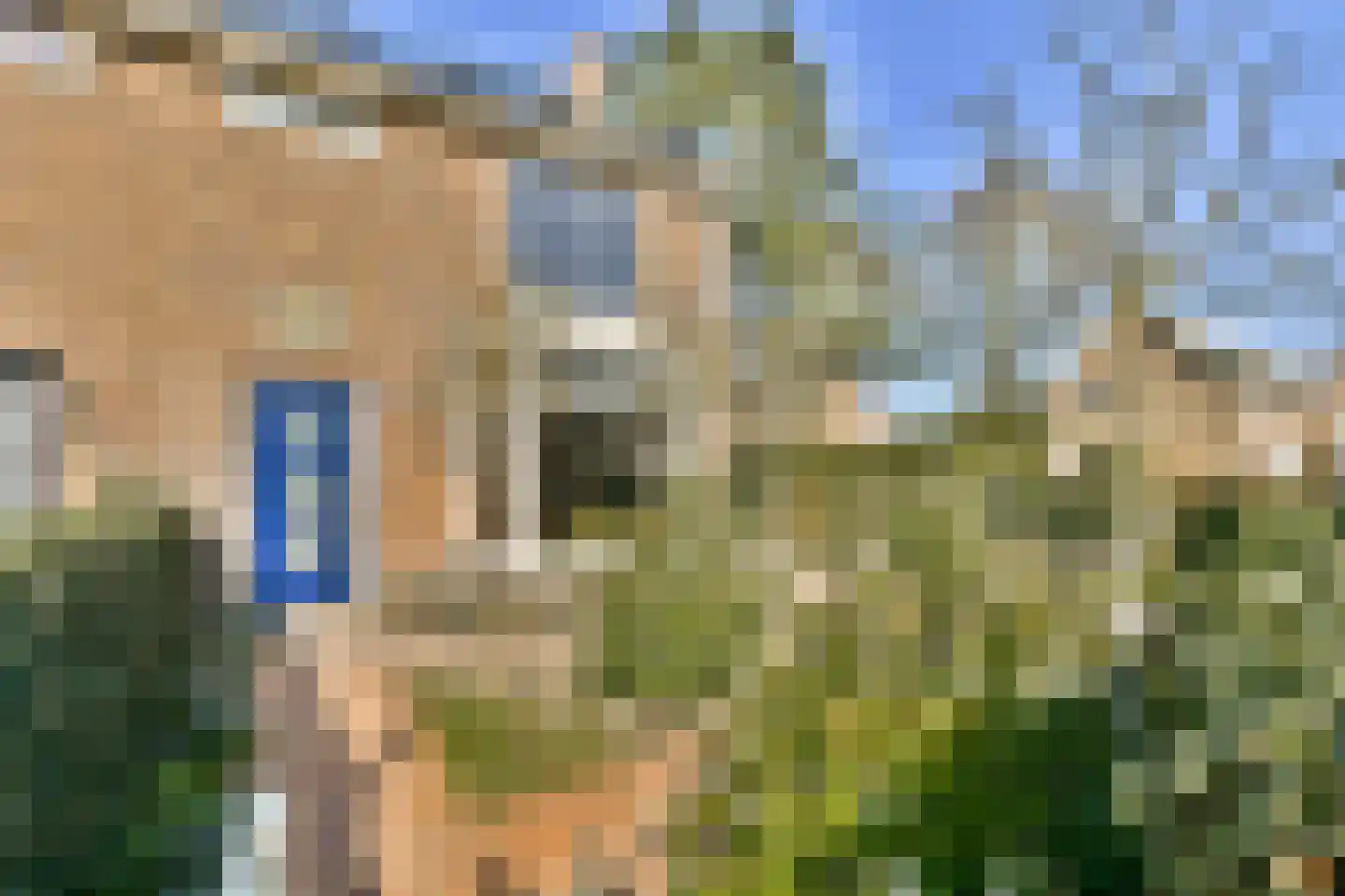 Frans Zwaanstraat 2 Zandvoort thumbnail 34
