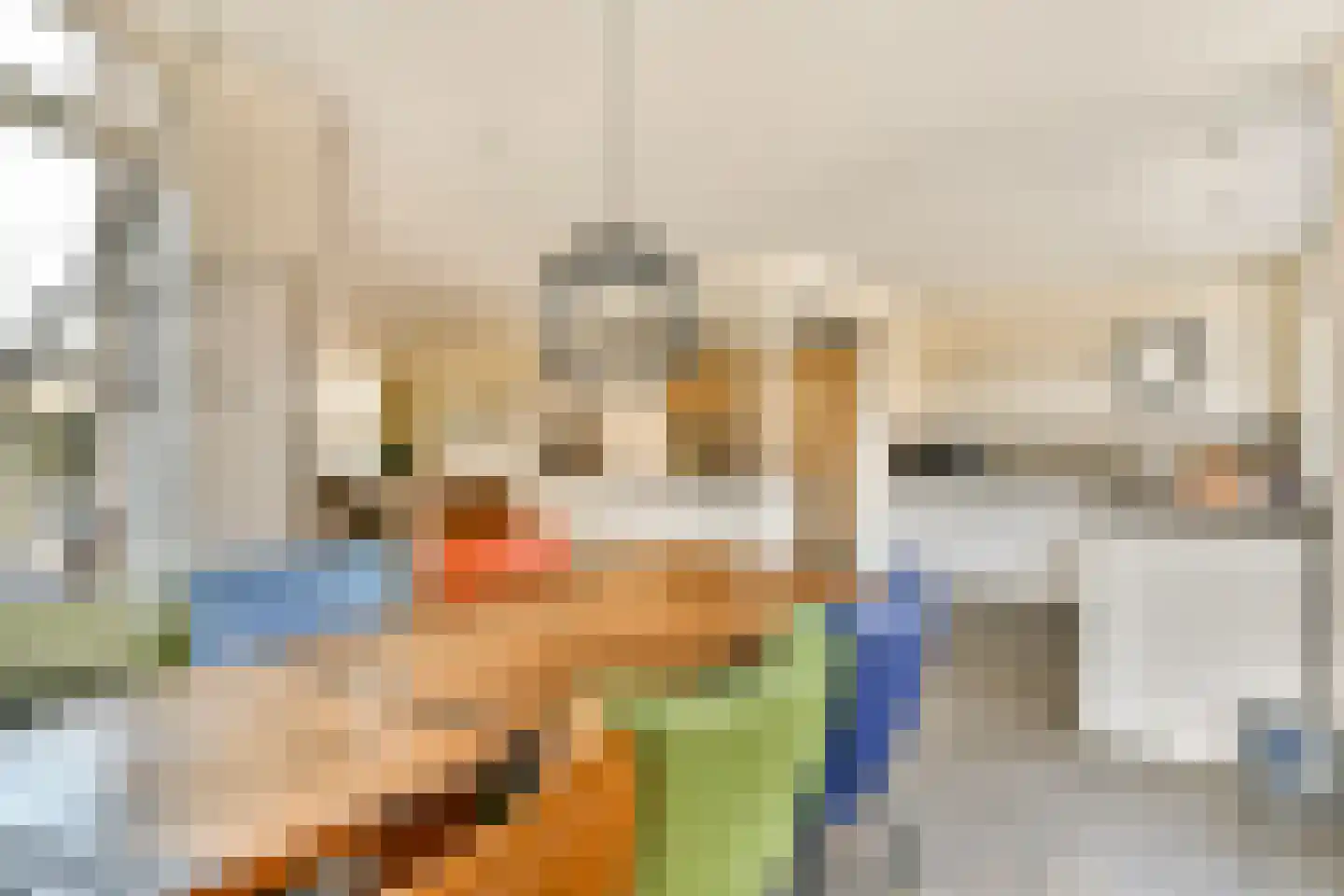 Frans Zwaanstraat 2 Zandvoort thumbnail 7