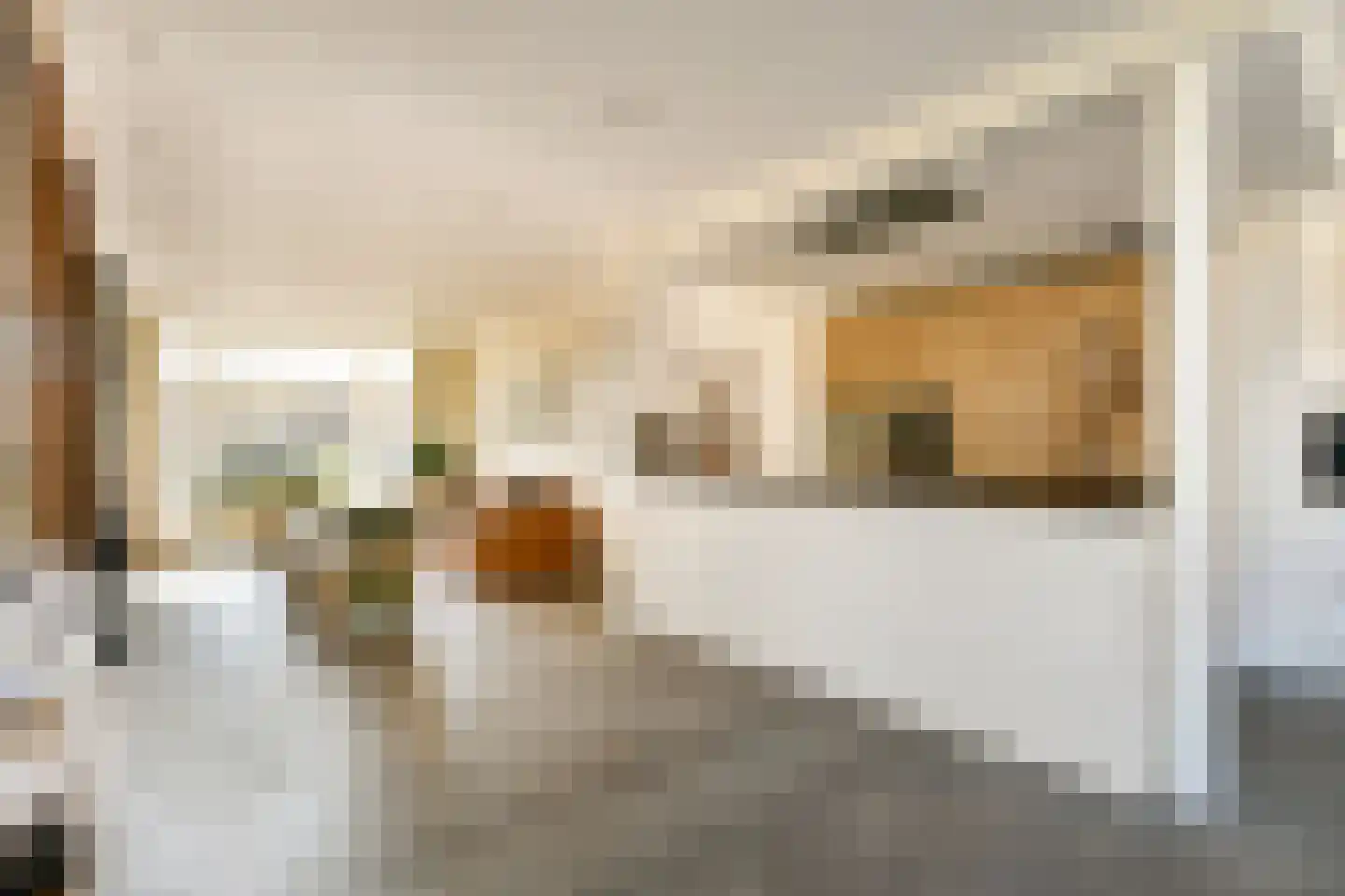 Frans Zwaanstraat 2 Zandvoort thumbnail 8