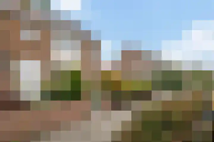 Frans Zwaanstraat 22 Zandvoort thumbnail 4