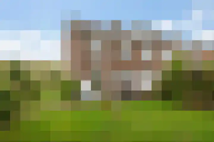 Frans Zwaanstraat 22 Zandvoort thumbnail 40