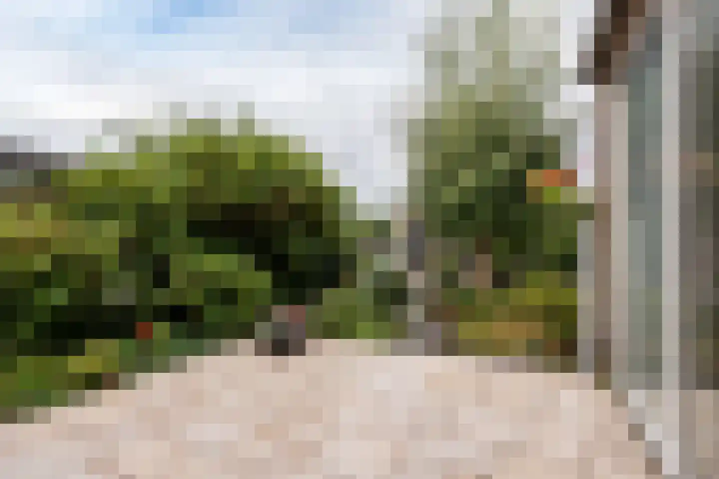 Fransche Brug 25 Roelofarendsveen thumbnail 19