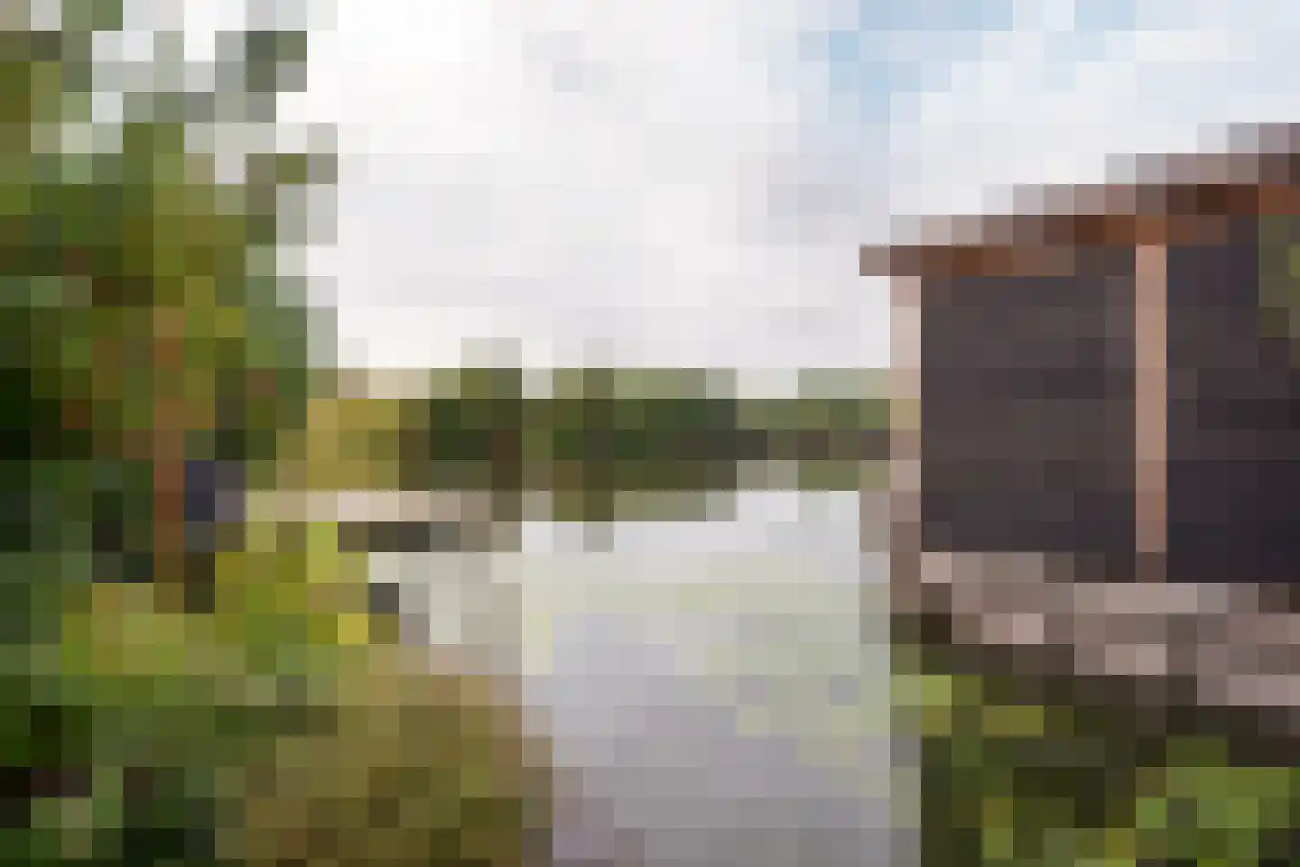 Fransche Brug 25 Roelofarendsveen thumbnail 22