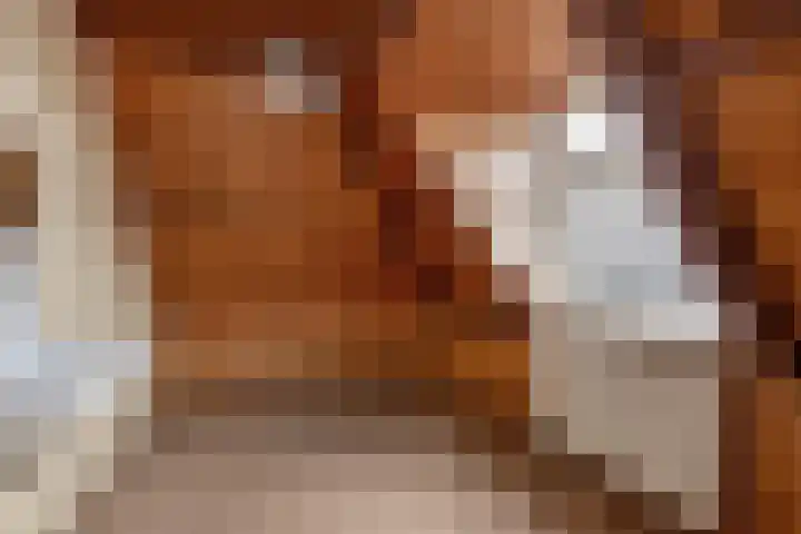 Franse Kerkstraat 1 Voorburg thumbnail 25