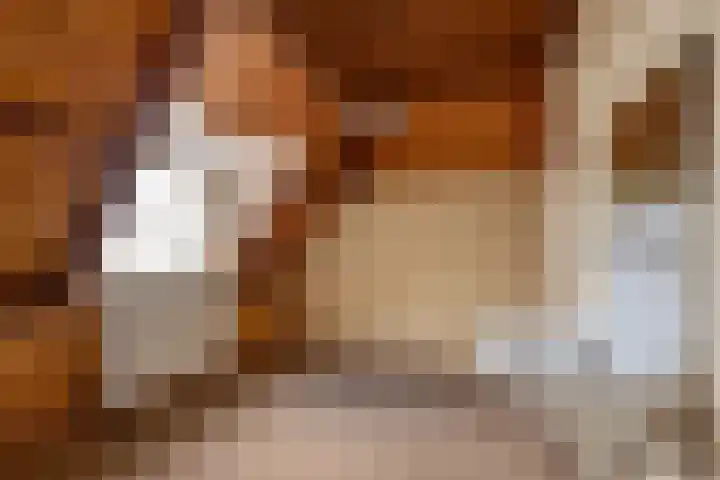 Franse Kerkstraat 1 Voorburg thumbnail 26