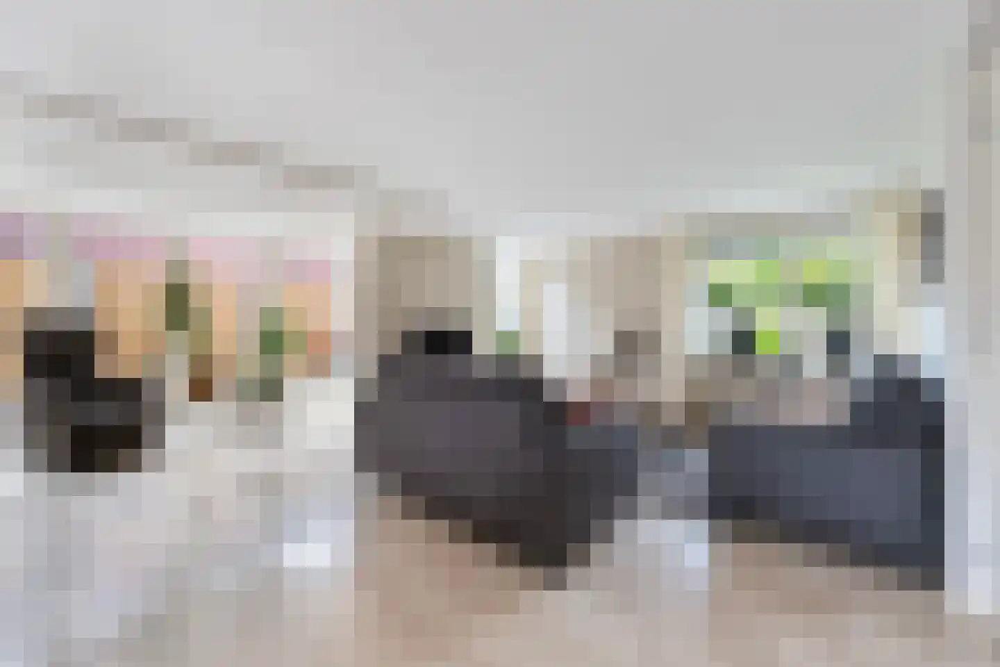Franse Schans 11 Lievelde thumbnail 10