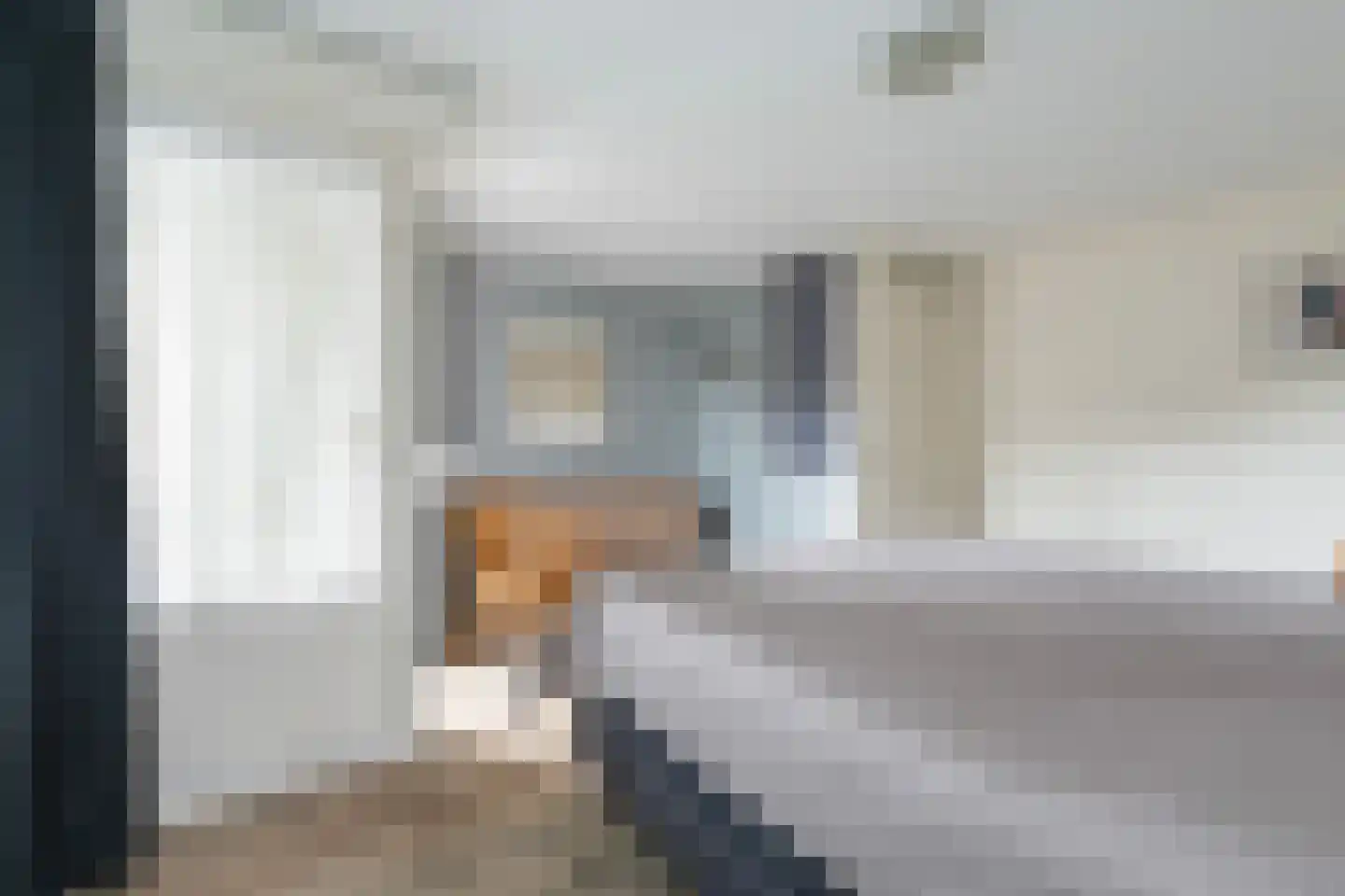 Franse Schans 11 Lievelde thumbnail 18