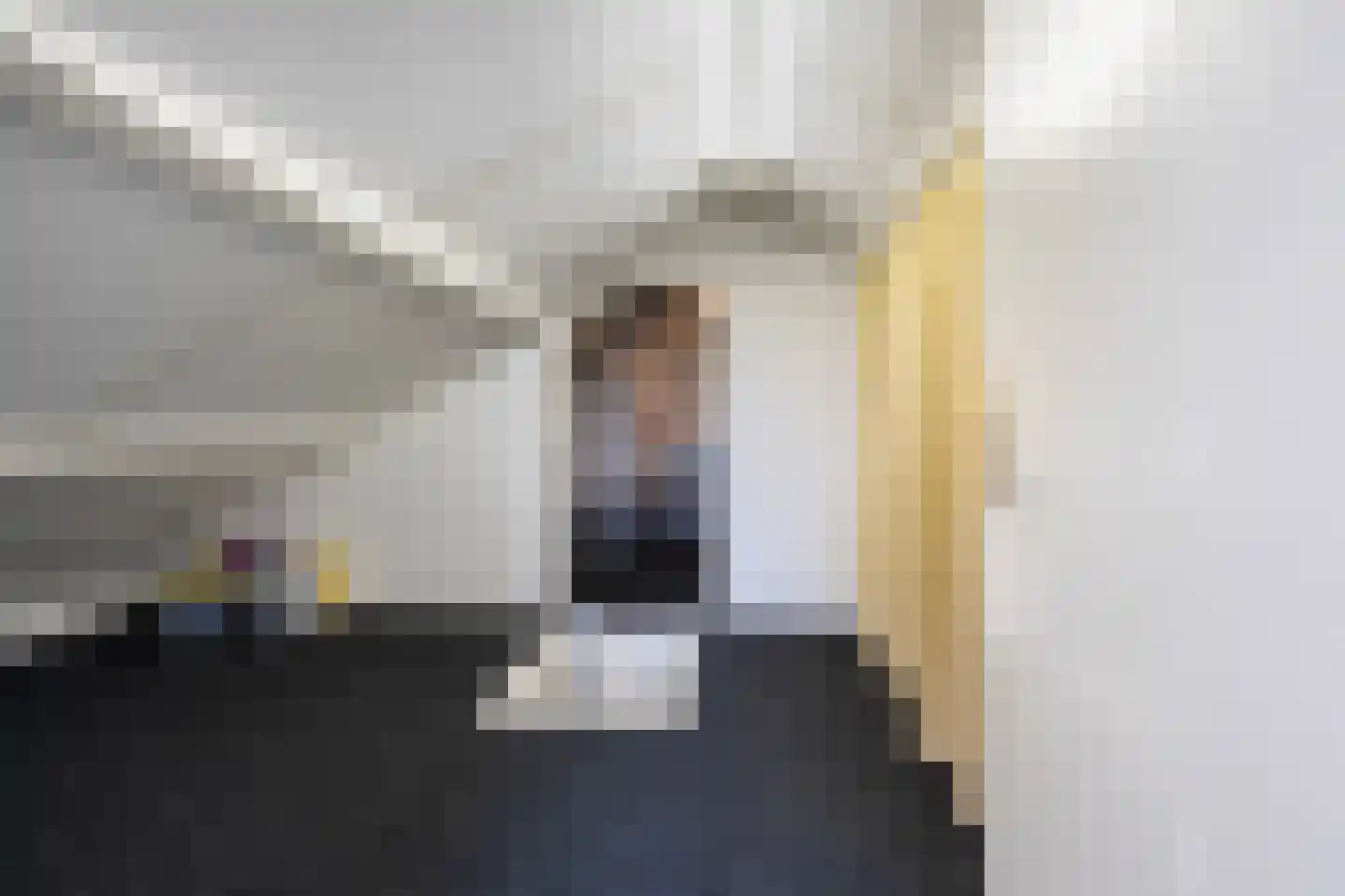 Franse Schans 11 Lievelde thumbnail 27