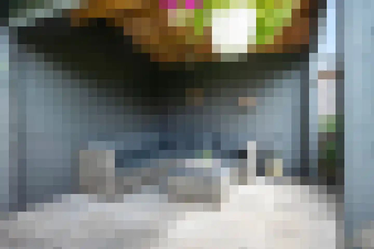 Franse Schans 11 Lievelde thumbnail 34