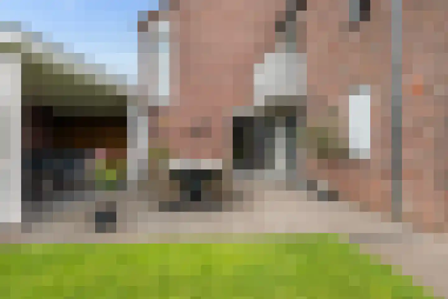 Franse Schans 11 Lievelde thumbnail 35