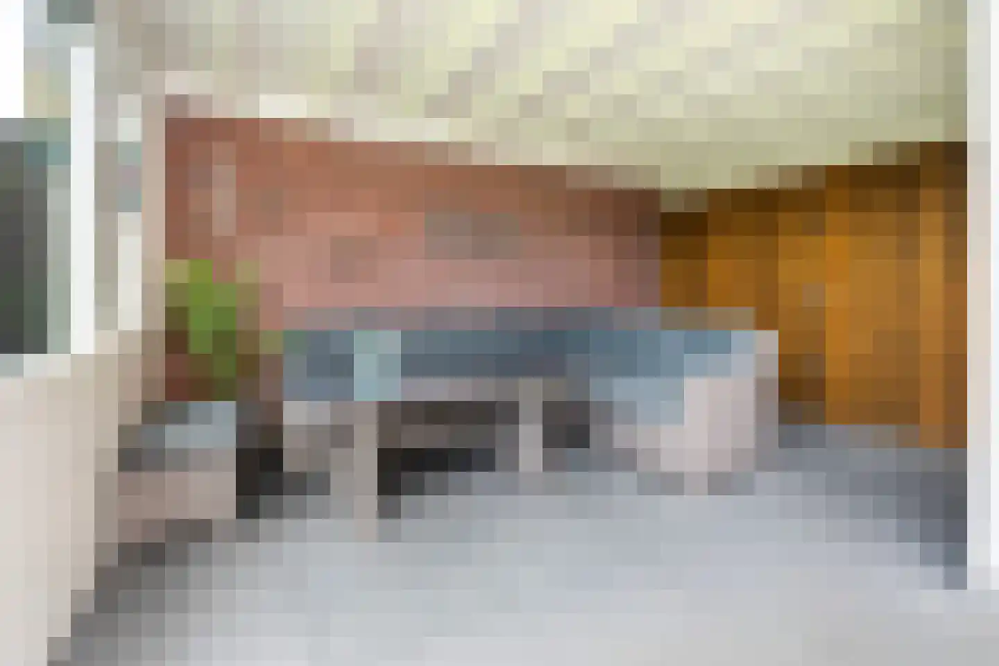 Franse Schans 11 Lievelde thumbnail 36