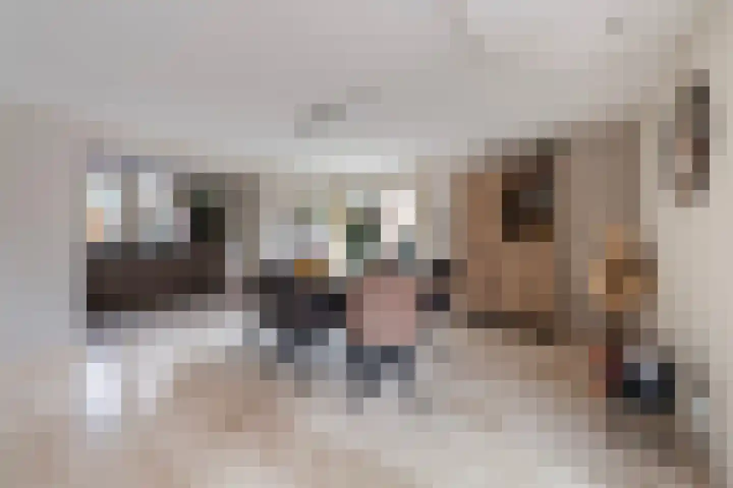 Franse Schans 11 Lievelde thumbnail 6