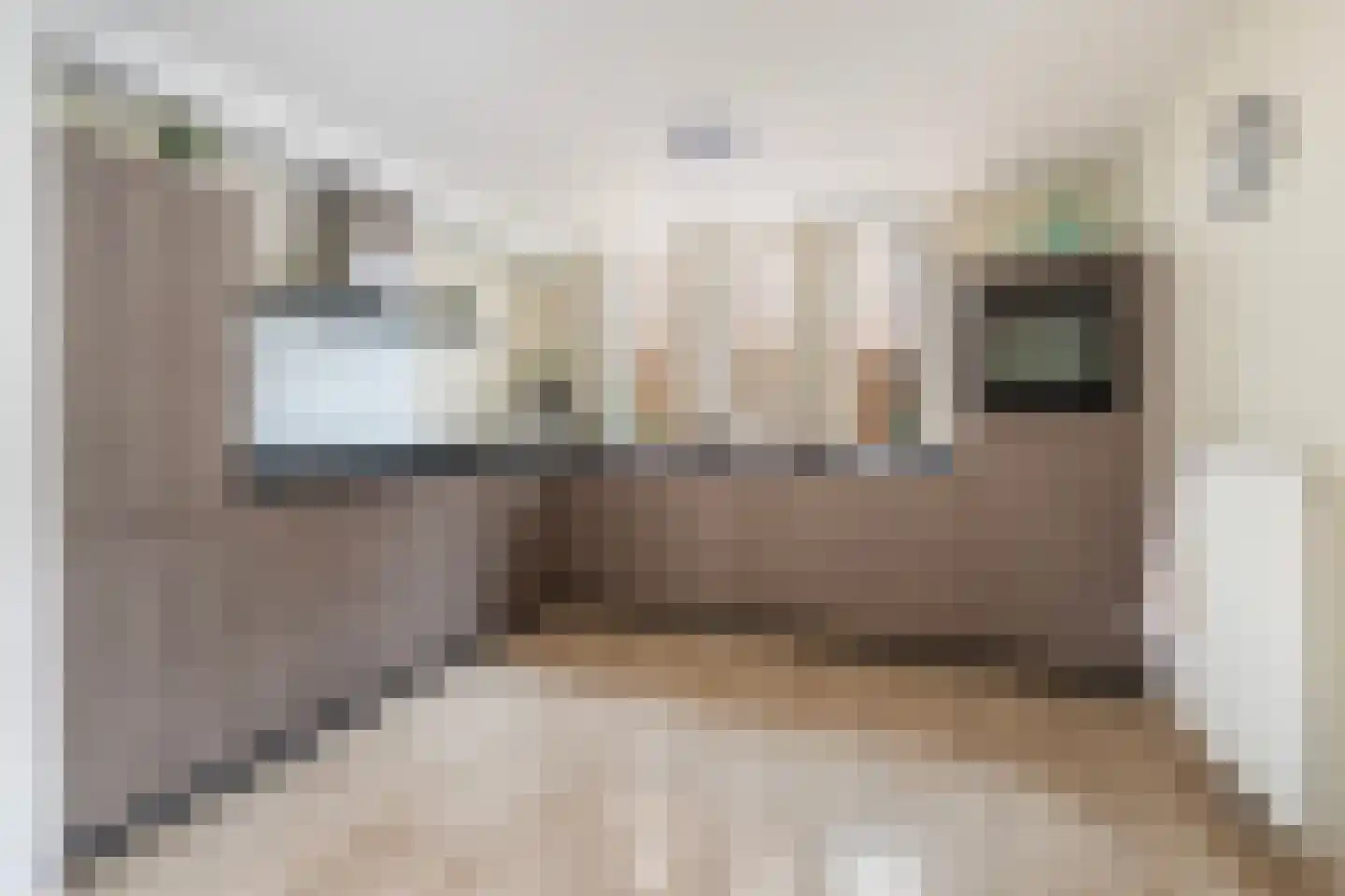 Franse Schans 11 Lievelde thumbnail 7