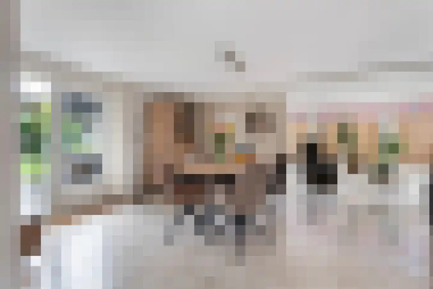 Franse Schans 11 Lievelde thumbnail 8