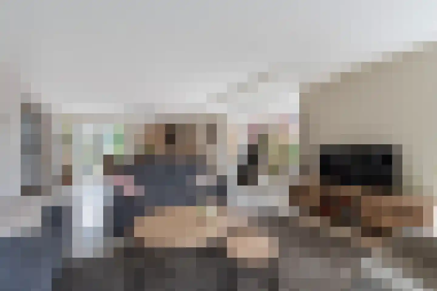 Franse Schans 11 Lievelde thumbnail 9