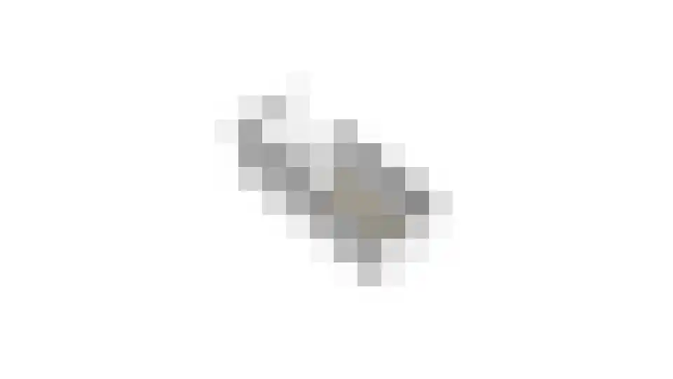 Franse Schans 24 Lievelde thumbnail 47