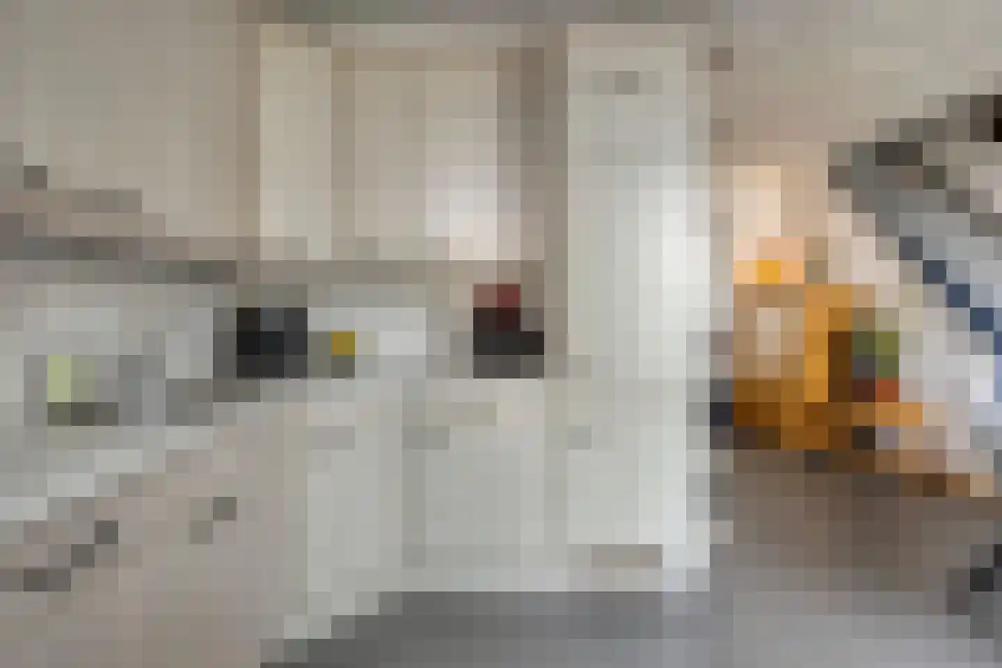 Fransebaan 130 Eindhoven thumbnail 15