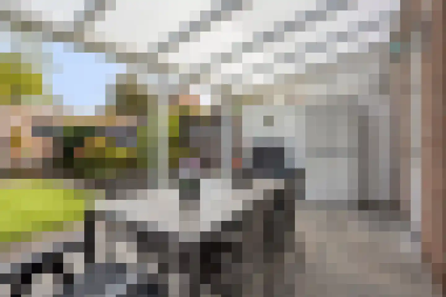 Fransebaan 130 Eindhoven thumbnail 31