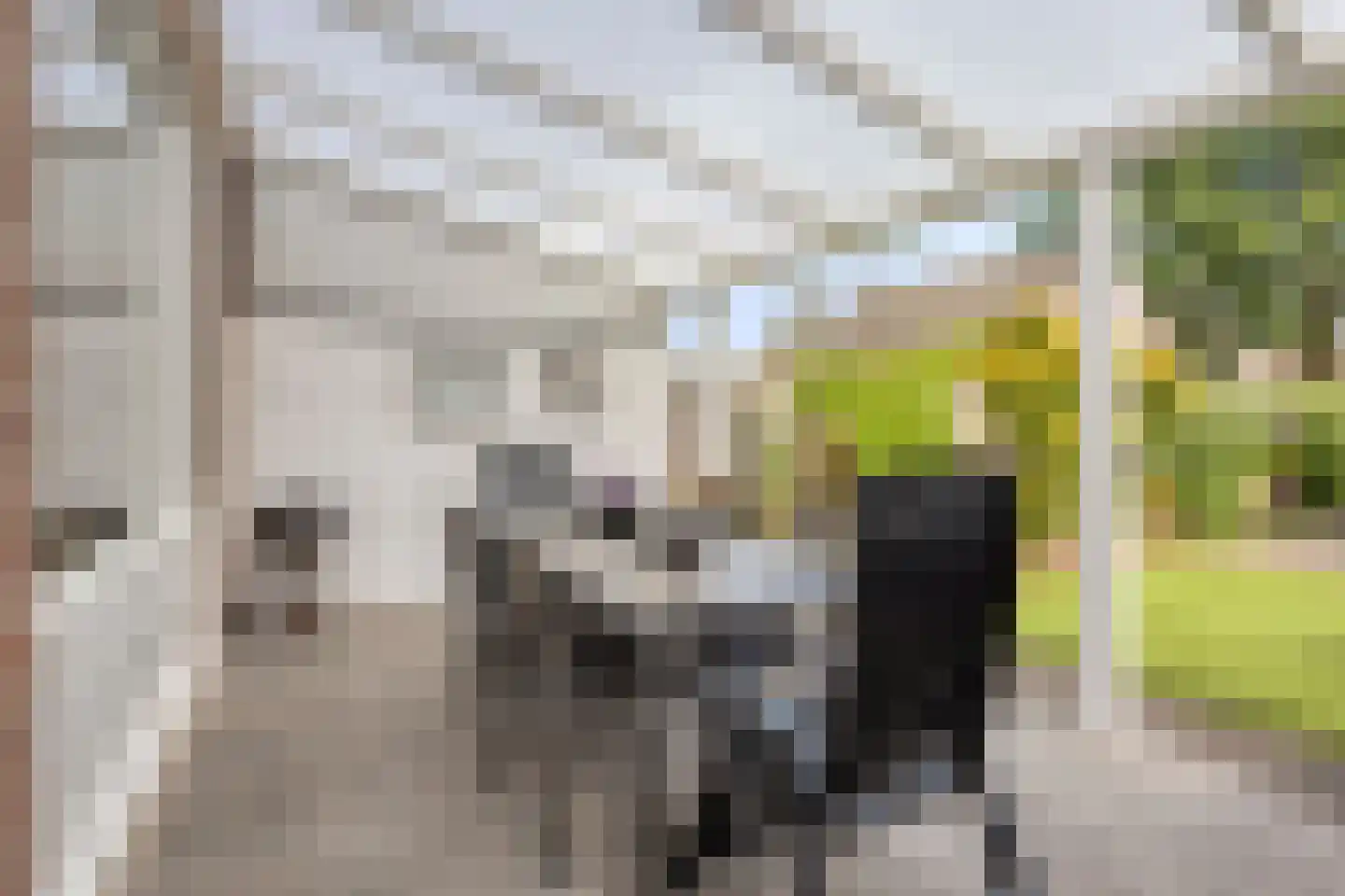 Fransebaan 130 Eindhoven thumbnail 32
