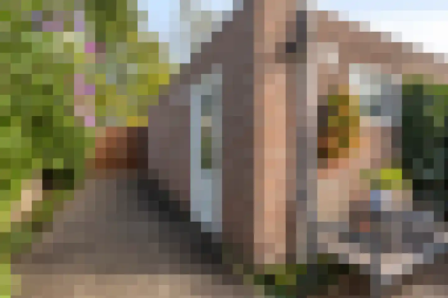 Fransebaan 130 Eindhoven thumbnail 34