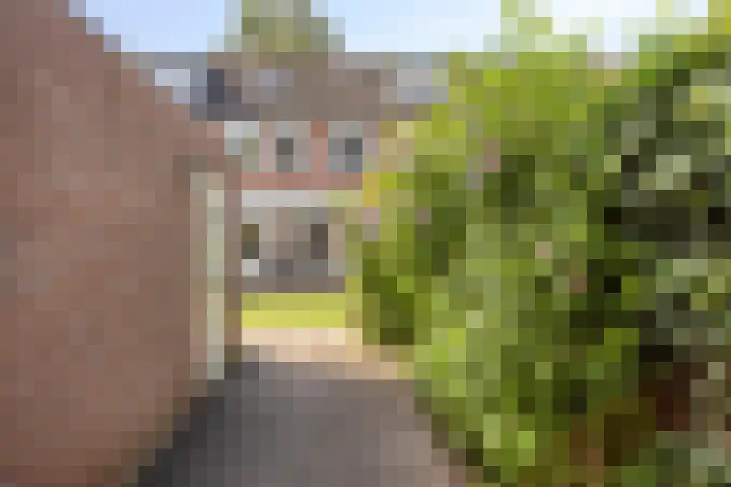 Fransebaan 130 Eindhoven thumbnail 35