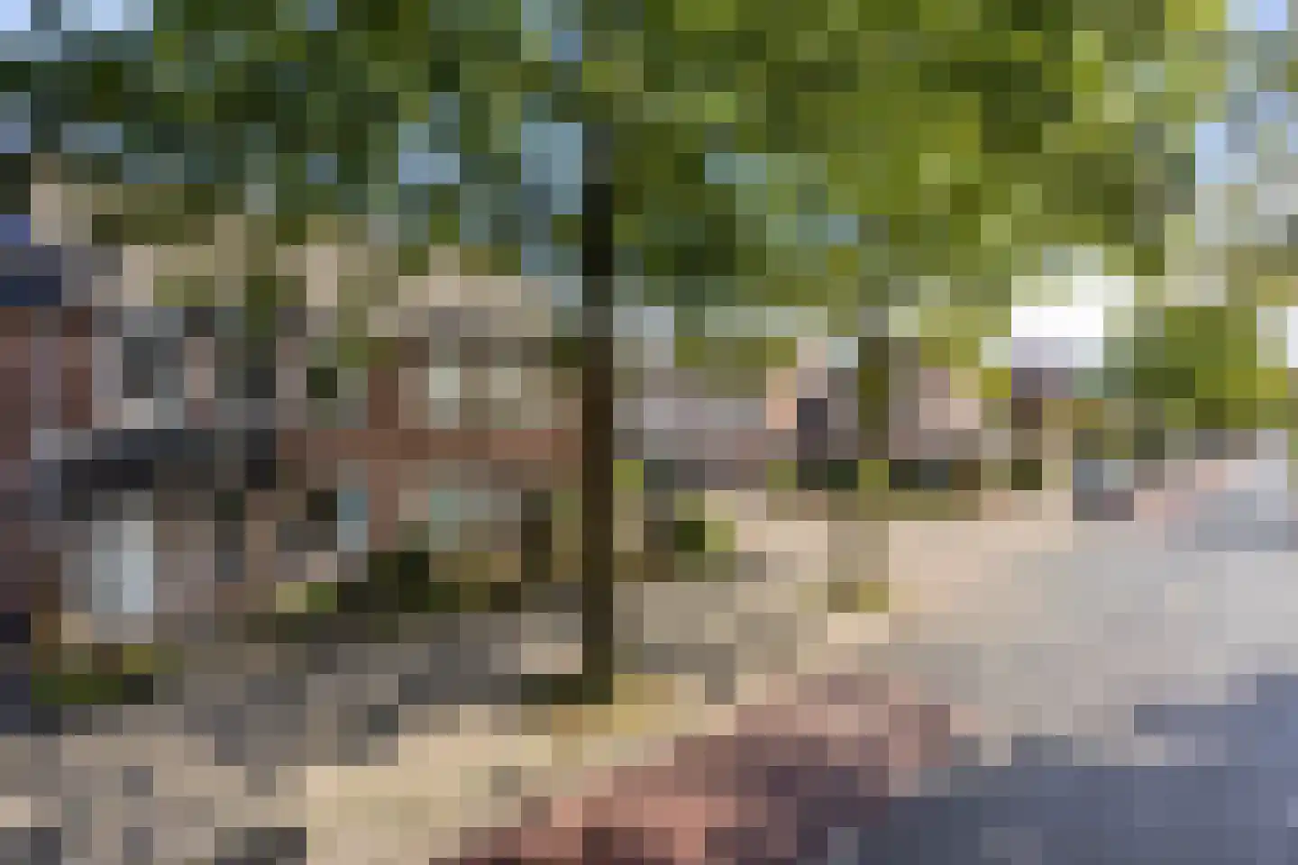 Fransebaan 130 Eindhoven thumbnail 40