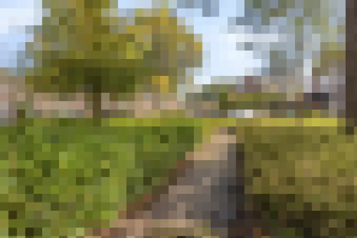 Fransebaan 130 Eindhoven thumbnail 41