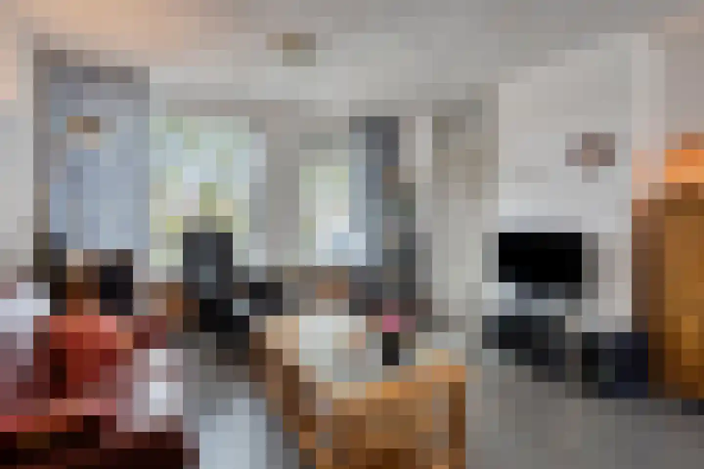 Fransebaan 130 Eindhoven thumbnail 8