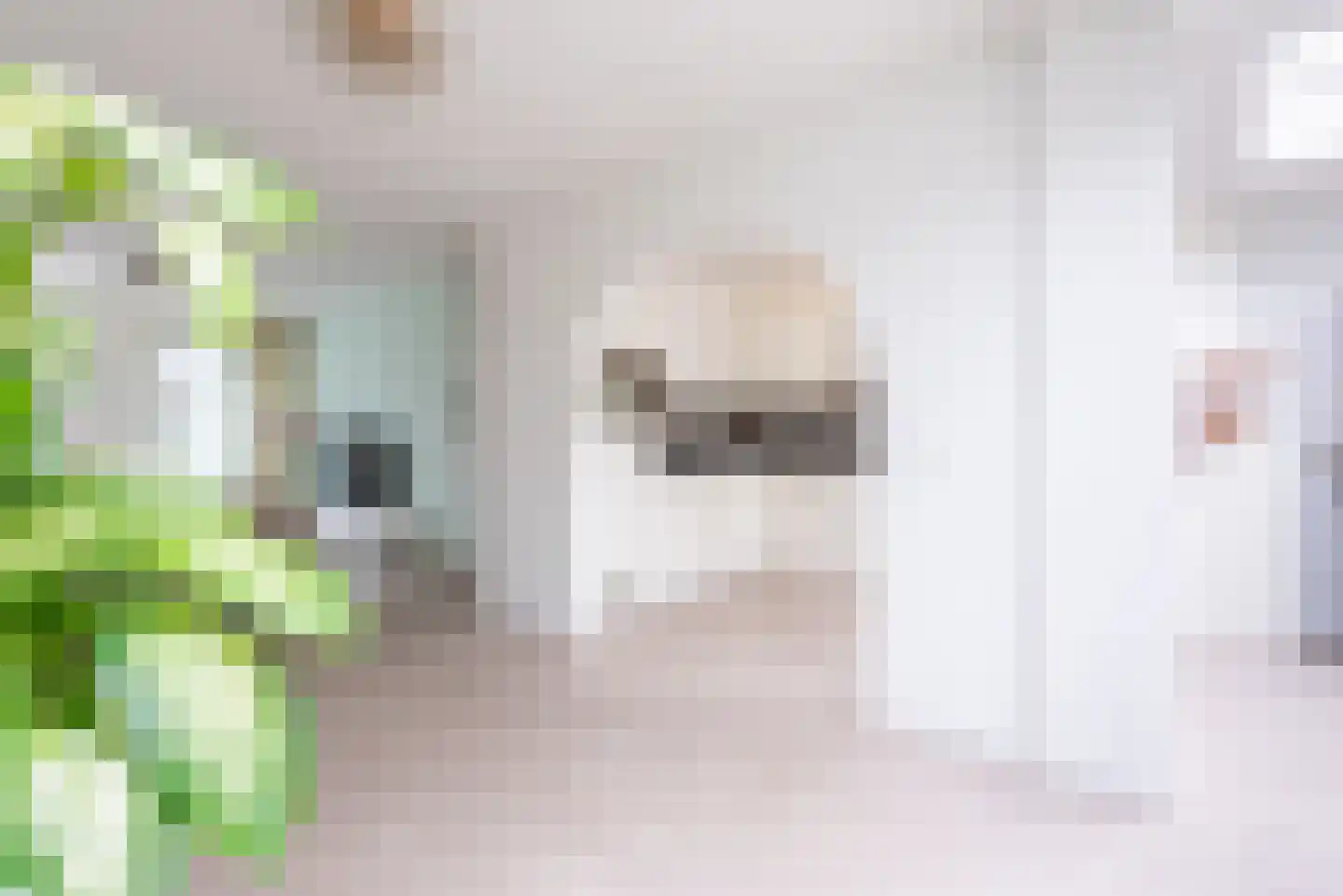Fransebaan 131 Eindhoven thumbnail 15