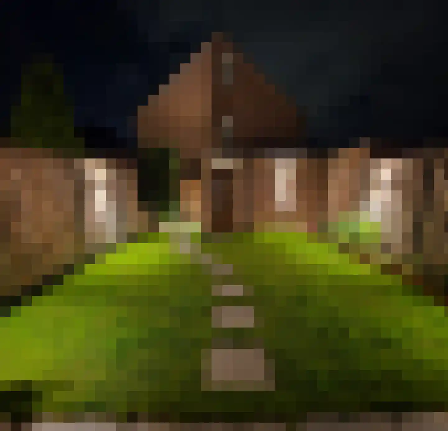 Fransebaan 131 Eindhoven thumbnail 53
