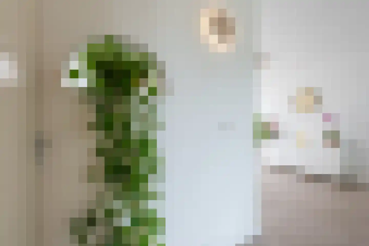 Fransebaan 131 Eindhoven thumbnail 8