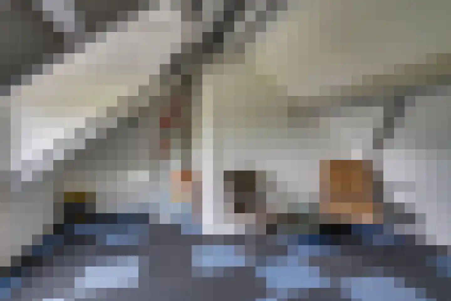 Fransebaan 280 Eindhoven thumbnail 21