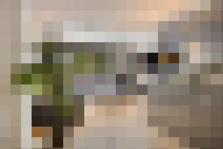 Fransebaan 430 Eindhoven thumbnail 10