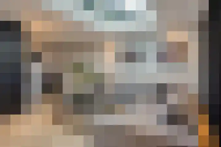 Fransebaan 430 Eindhoven thumbnail 13