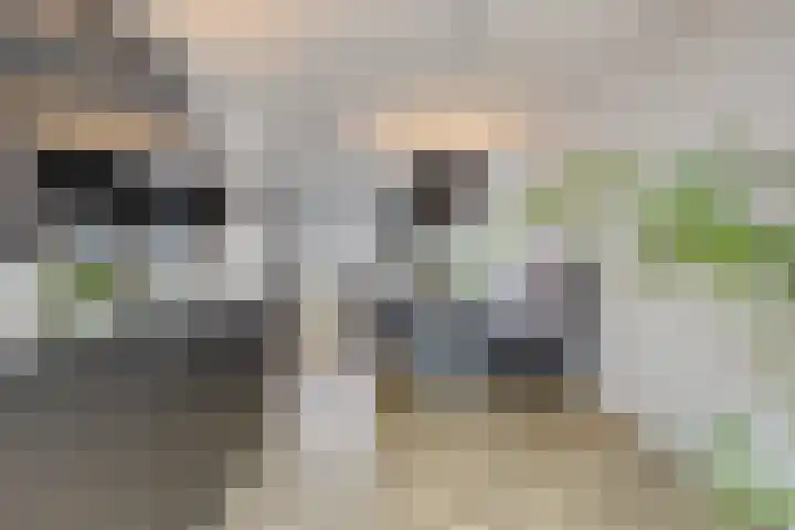 Fransebaan 430 Eindhoven thumbnail 16