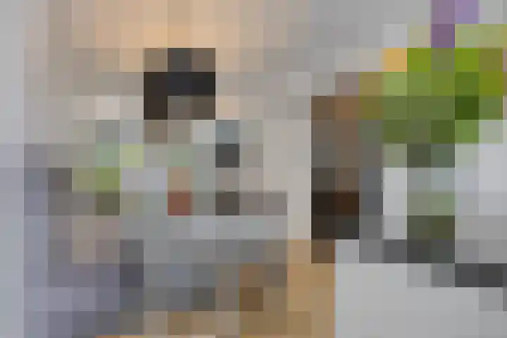 Fransebaan 430 Eindhoven thumbnail 17