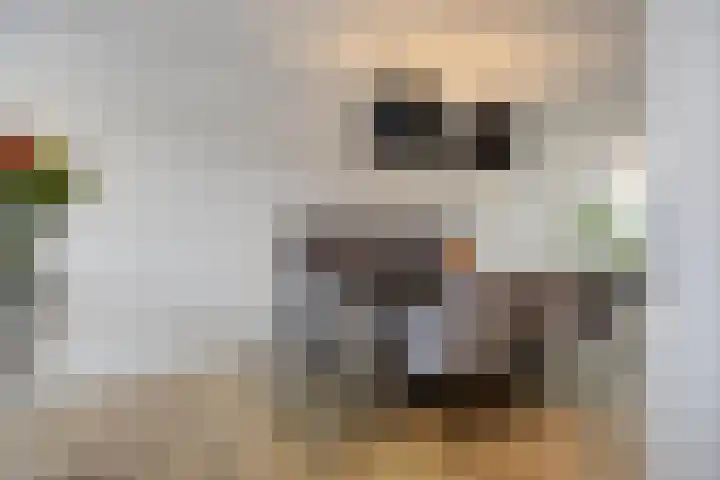 Fransebaan 430 Eindhoven thumbnail 18