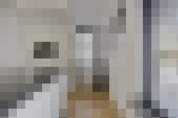 Fransebaan 430 Eindhoven thumbnail 20