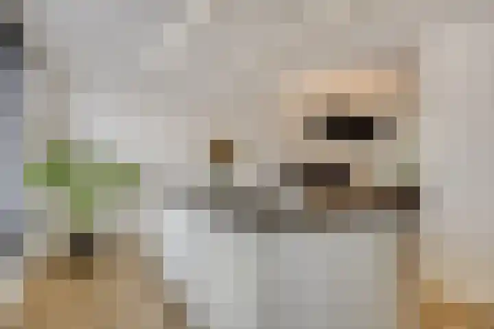 Fransebaan 430 Eindhoven thumbnail 21