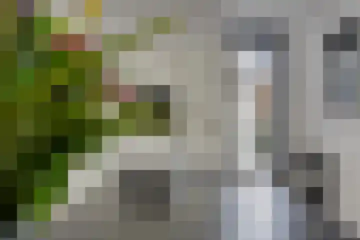 Fransebaan 430 Eindhoven thumbnail 23
