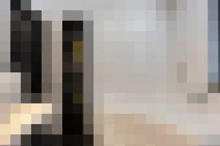 Fransebaan 430 Eindhoven thumbnail 29